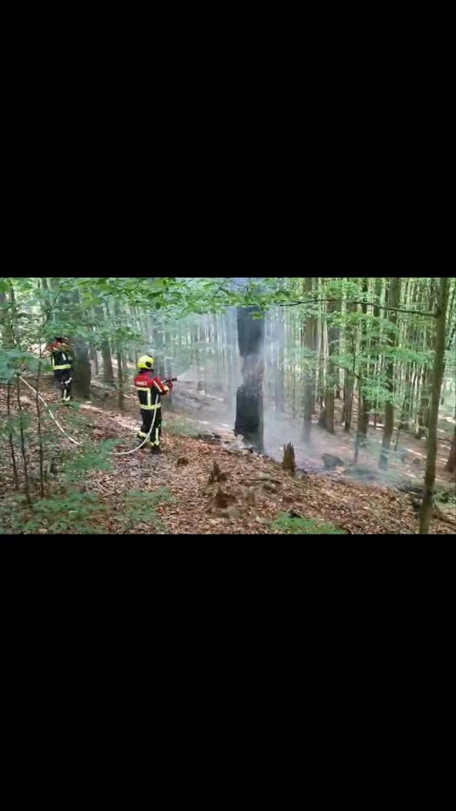 ‼️ Udalosť č.28/2026‼️