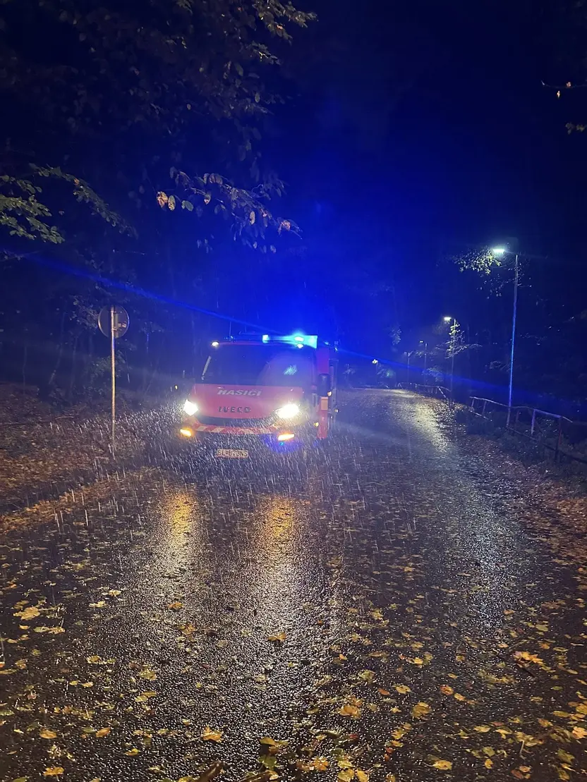 Technický zásah - padnuté stromy cez cestnú komunikáciu